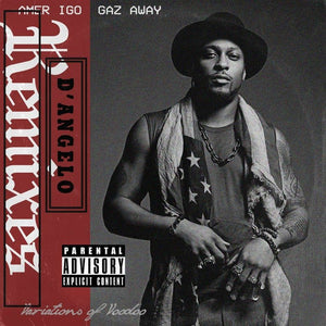Amerigo Gazaway - Variations of Voodoo: A Tribute to D'Angelo | Tucker & Bloom Bags
