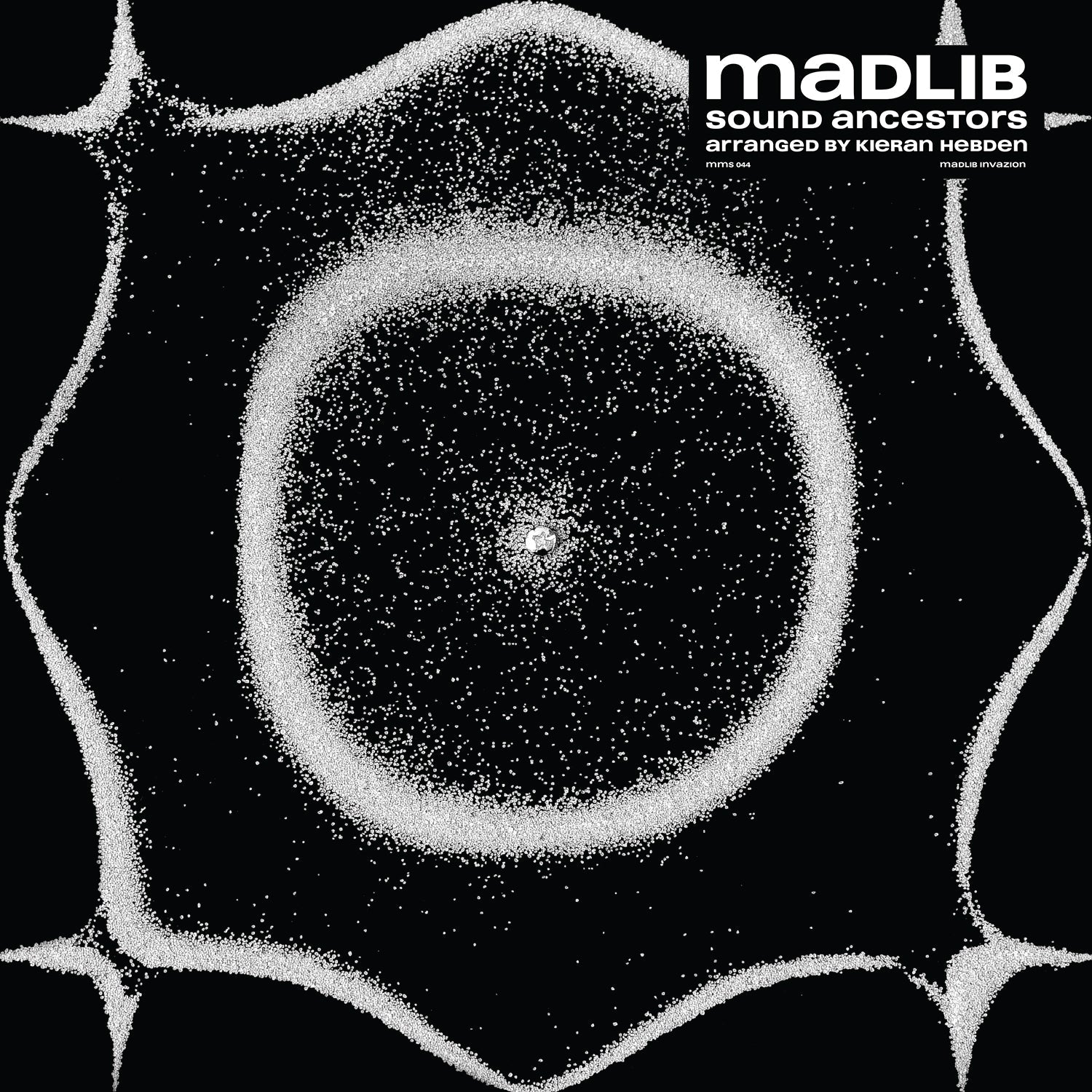 Madlib Sound Ancestors | Tucker & Bloom Bags