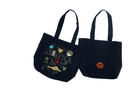 SW-VG-TOTE-FRAGM